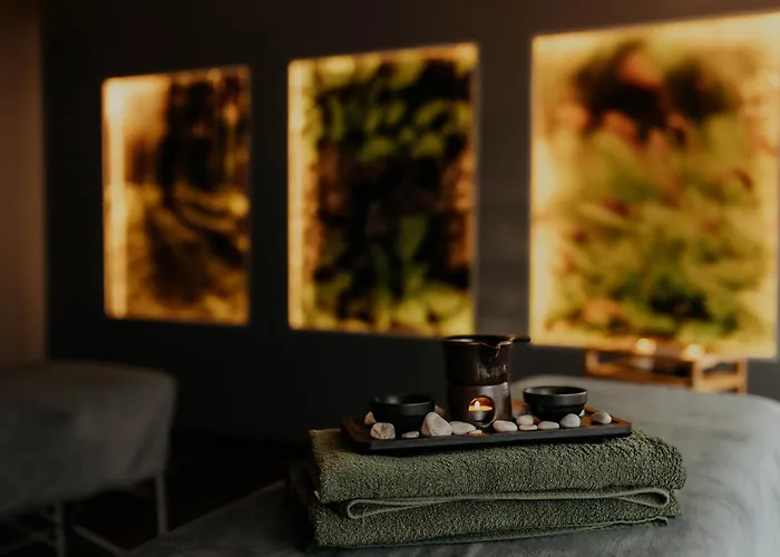 Hotel Pod Jedlami Wisla photo