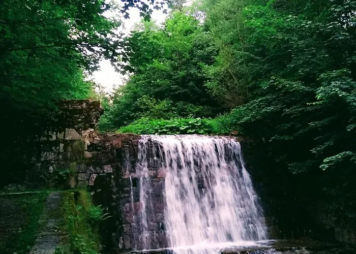 Фото Dom Na Wylacznosc, Gory, Rysianka, Beskidy, Apartament W Gorach Zlatna