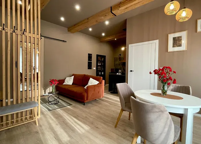 Apartamenty 7 Kamienic 29 Lok 2B Vis A Vis Jasnej Gory ブィドゴシュチュの写真