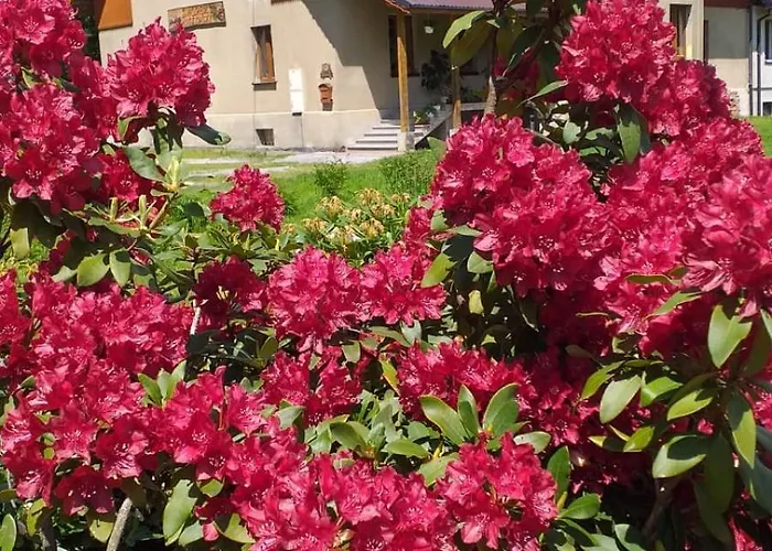 Фото Dworek Mysliwski Laziska 