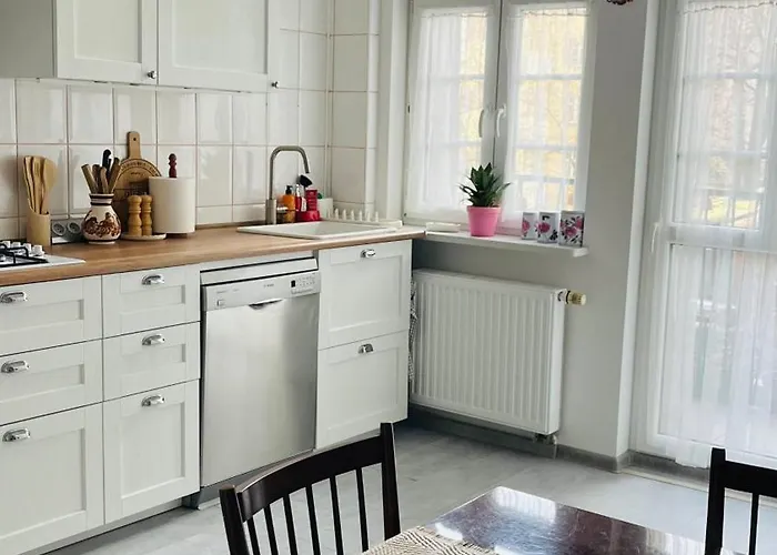 Zielone Drzwi Bytom Cale Mieszkanie Rodzinne Blisko Centrum I Parku fotorgafie