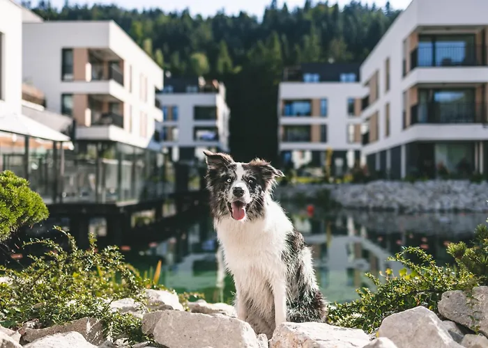 Vislow Resort Wisla photo