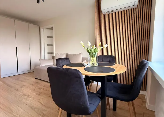 Panoramic View Apartment Z Klimatyzacja Będzin fotoğrafı